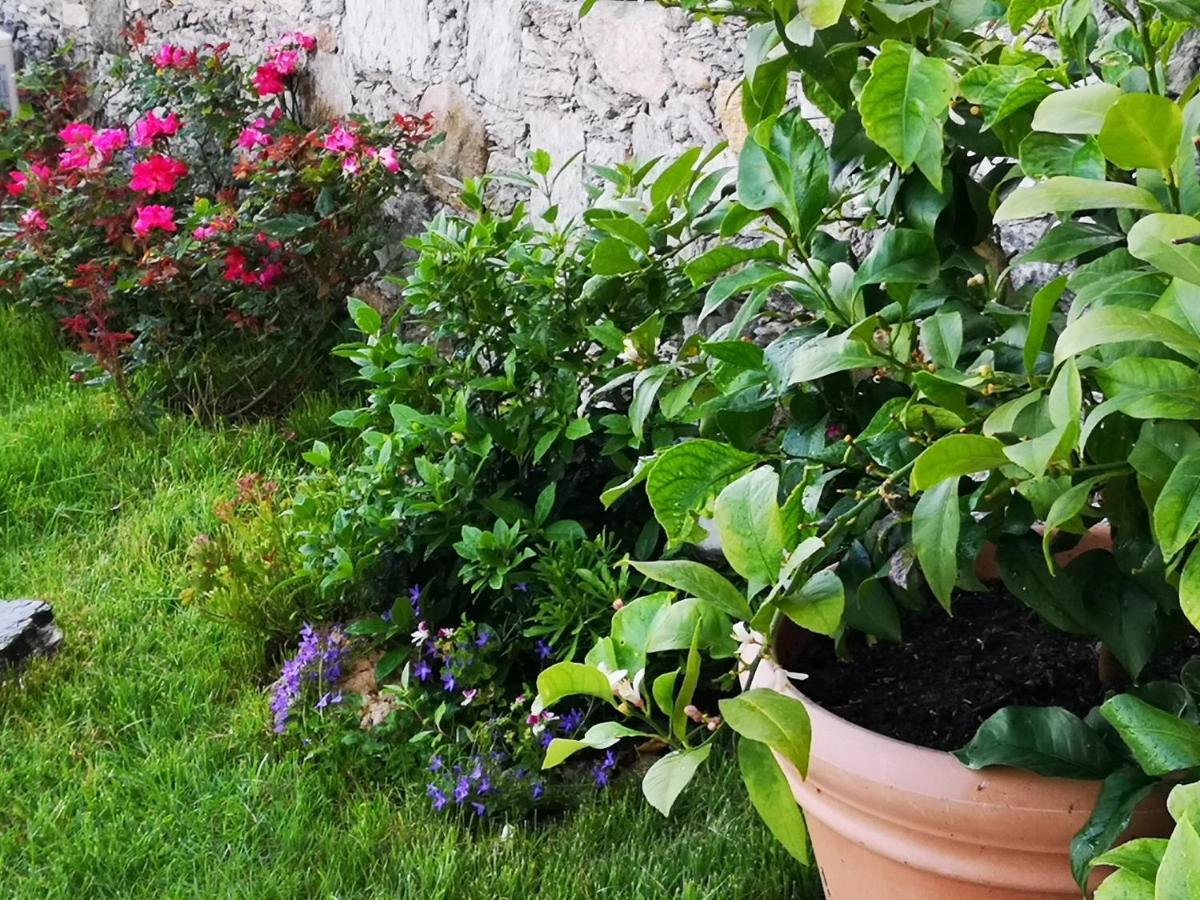 B&B Ca' Du Brigidin Tovo San Giacomo Εξωτερικό φωτογραφία