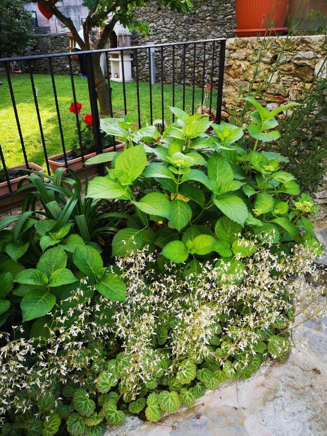 B&B Ca' Du Brigidin Tovo San Giacomo Εξωτερικό φωτογραφία
