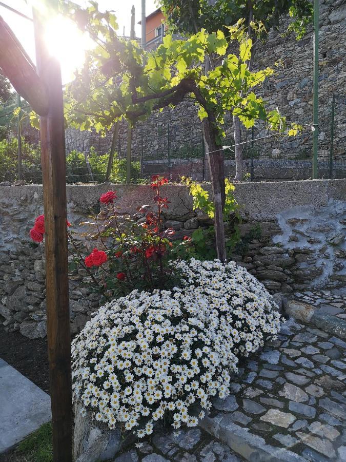 B&B Ca' Du Brigidin Tovo San Giacomo Εξωτερικό φωτογραφία