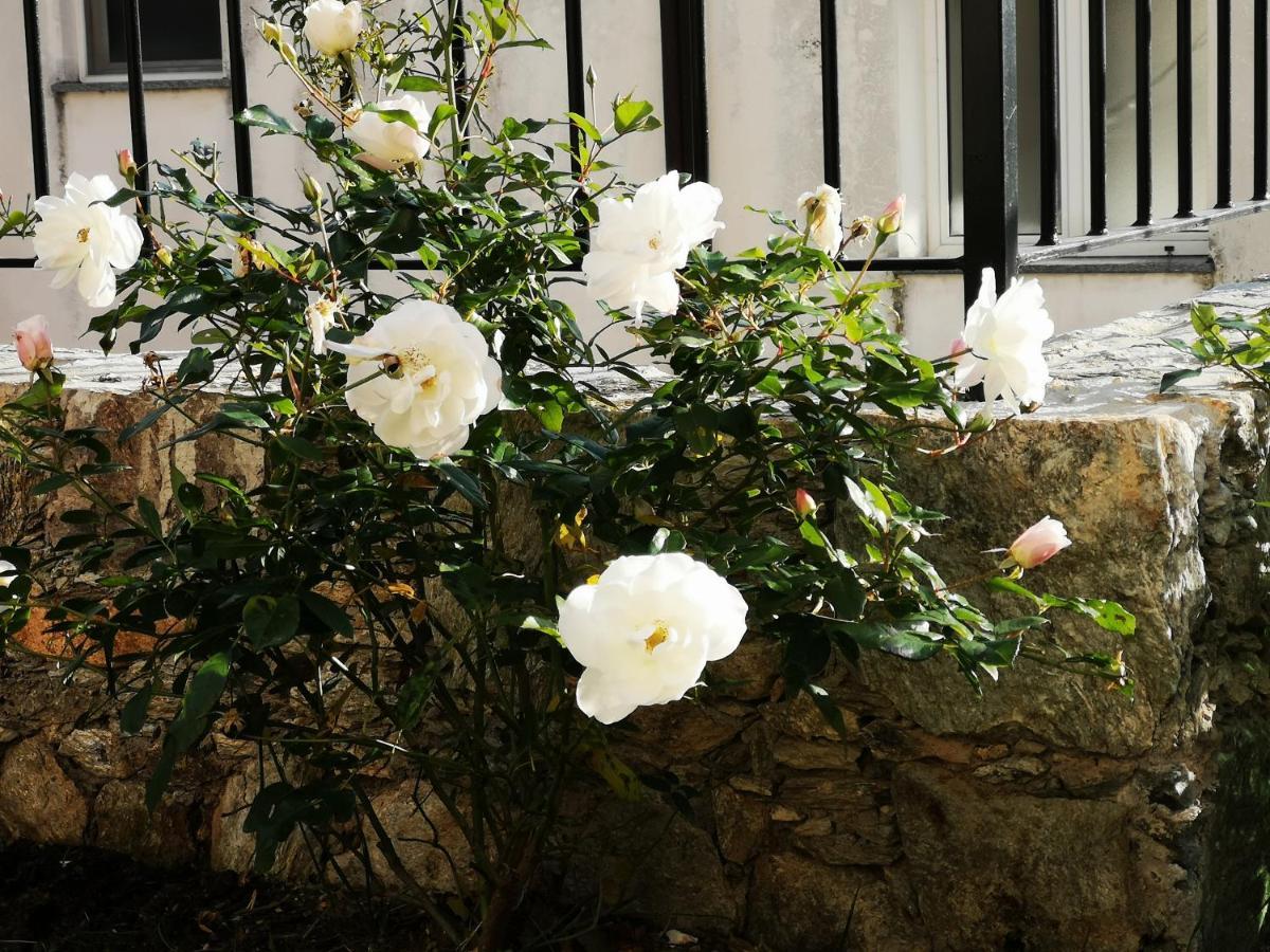B&B Ca' Du Brigidin Tovo San Giacomo Εξωτερικό φωτογραφία