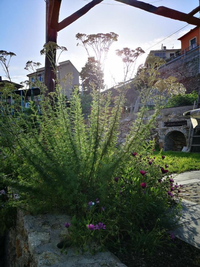 B&B Ca' Du Brigidin Tovo San Giacomo Εξωτερικό φωτογραφία